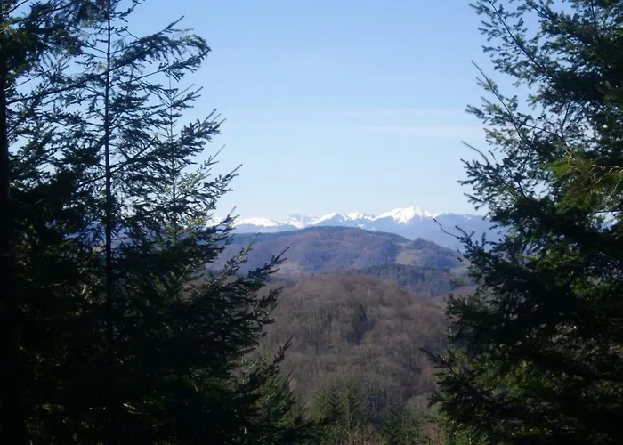 Les D'alzen Alpstuga