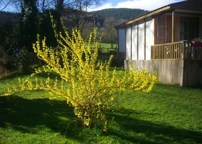 Les D'alzen Alpstuga *